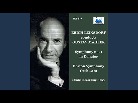 Symphony no. 1 in D major - Sturmisch bewegt. Energisch (Studio Recording)