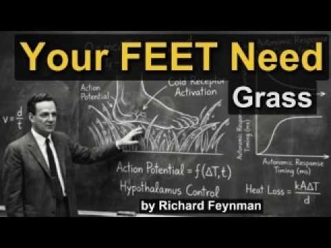 Why YOUR Brain Lost the Map of Your Feet