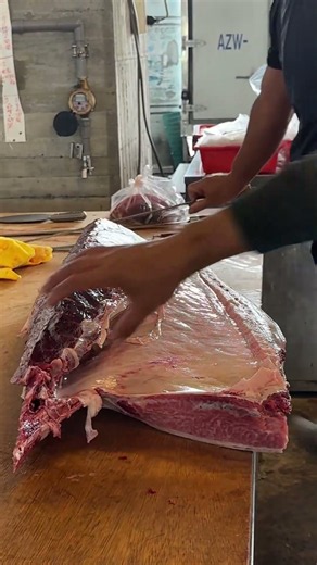 Taiwan’s top bluefin tuna master takes over the cutting show! #黑鮪魚 #bluefintuna