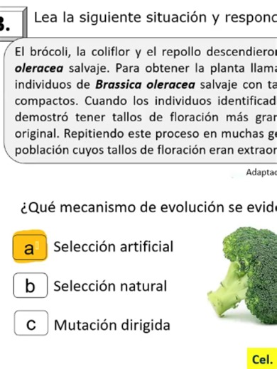 EVOLUCIÓN - PARTE II - CAPACITACIÓN A DOCENTES DE CIENCIA Y TECNOLOGÍA
