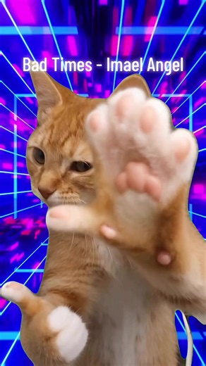 Bad Times - Imael Angel | Funny Cat Dance Clip