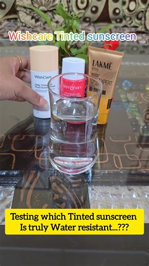 Testing Tinted Sunscreen | Which Sunscreen is more Water Resistant | #sunscreen#skincaretipswithneha