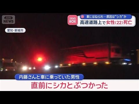 車にはねられ…原因は“シカ”か　高速道路上で女性（22）死亡【スーパーJチャンネル】(2026年10月19日)