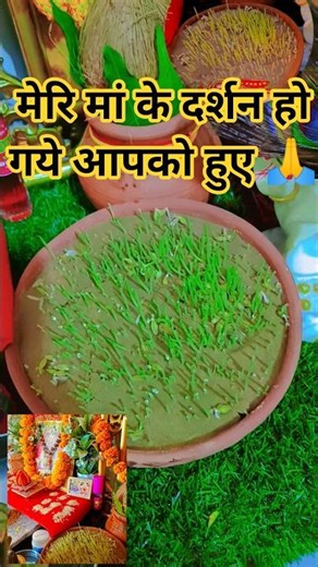 जय हो 😭😭Cool Gadgets!😍Smart Appliances,New Gadgets, Kitchen Gadgets, Home Gadgets,Inventions🙏P-209