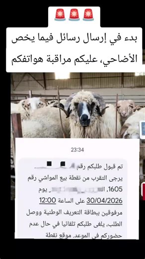 Vidéos de Trend Algeria Today Hub (@trendingalg) avec Breaking News - DM Production