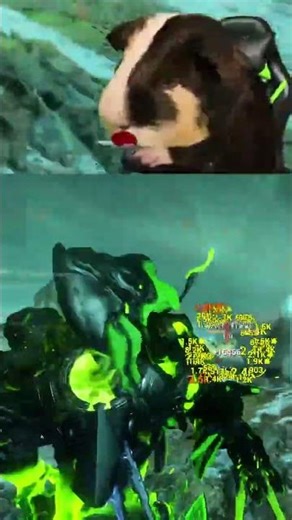 THIS IS ABSOLUTELY INSANE! #warframe #gaming