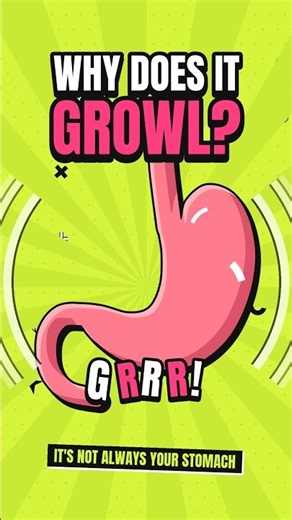 Why your stomach growls when you're hungry