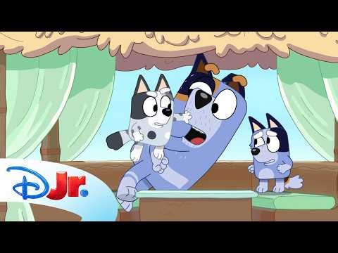 Socks Discovers Uncle Stripe’s Nose Honks! 😤💙 | Bluey Minisode Honk | @disneyjr