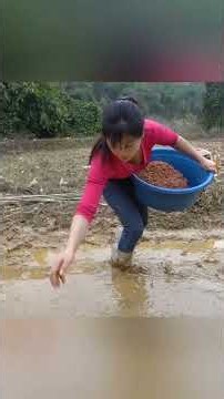 mybushcraft #farmlife #garden #harvesting #fruitsbasket #Outdoors #farm