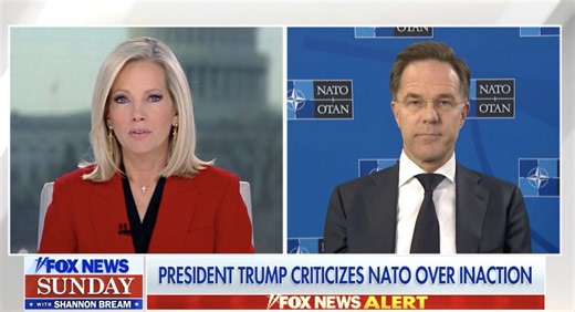 Fox News anchor confronts NATO chief on Trump calling NATO 'cowards'