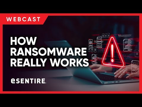 Ransomware in 2025: How Cybercriminals Operate & How to Stop Them