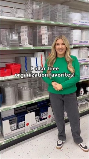My favorite Dollar Tree organization finds #dollartreeorganization