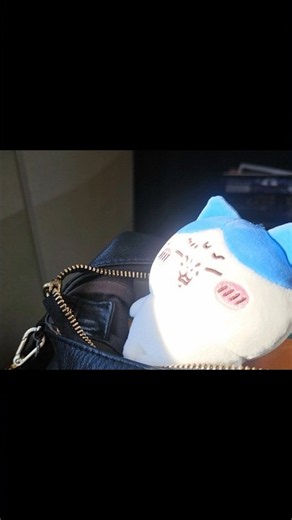 [Hachiware] The post that went viral on X was too funny lol [Voiceover]