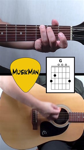 Words 🗣️ – F. R. David / Guitar Chords / MusikMan