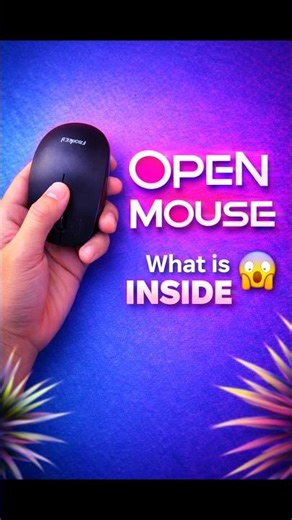 Open Computer Mouse What Is Inside The Mouse 😲