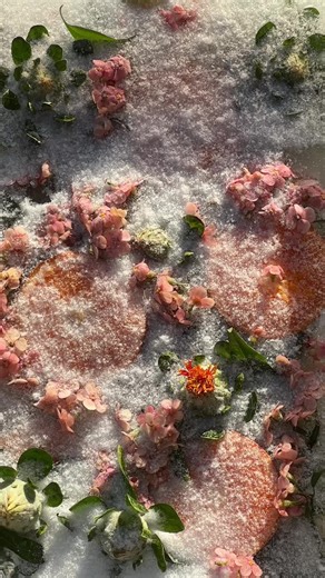 It is about the calm, the breath, the quiet moment before the world stirs, the soft hush before anything begins. 🌷 All my art is created from real things. Flowers, fruit, and anything that lives and dies. No AI, just heart. 🧡