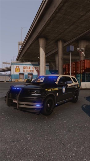 #fivem #gtarp #jobtown #pit #fyp | five m