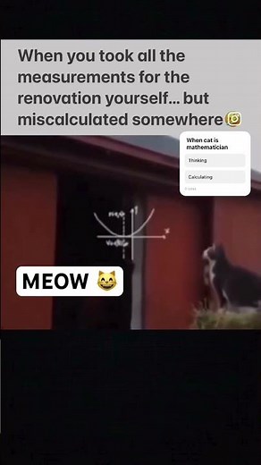 Cat calculating #cat #shorts #memes #funny
