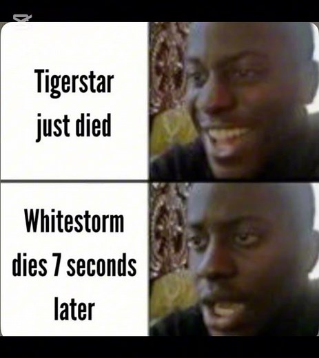 Warrior cats memes PT 3!! #warriors #warriorcats #memes