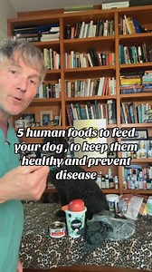 5 human foods to keep your dog away from the vet! #dogfood #petfood #doghealth #DIY #veterinary | Daily Pet Tips