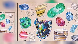 123 Life Vintage Tree Poster - Plant Canvas Wall Art Botanical Wall Posters Prints Illustrative Reference Chart Poster for Classroom Living Room Unframed 20x30cm/8x12inch