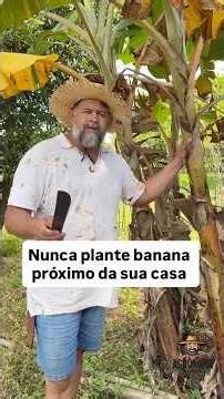 Never plant bananas near your house. #soil #tips #agriculture #countryside