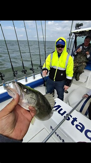 ✅ Incredible Lake Erie Fishing Experience💥