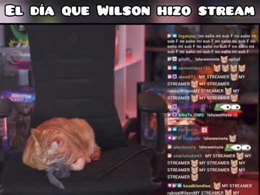 Wilson Streamer No Existe Wilson Streamer: #rubius #Gatos #elrubius #Wilson #humor | Un Poco De Todo