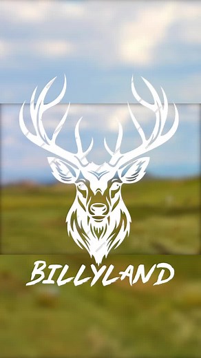 Own Your Land Today at Billyland.com