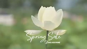 Put a new spin on your space this spring with an award-winning Haiku® L. Now through April 20, get 15% off the Haiku® L with code 23SPRING. http://ow.ly/2foF50NIAqm | Big Ass Fans