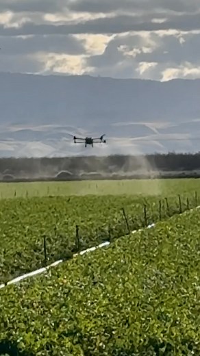 You could pay your guys to remove the sprinklers, try to get a ground rig in there, probably get stuck and break something getting out, or have us do it. It was actually cheaper to have us do it. | Adam Palmer