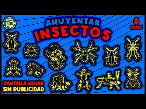 SONIDO PARA AHUYENTAR INSECTOS 🚫🦟 REPELENTE DE INSECTOS - ULTRASONIDO