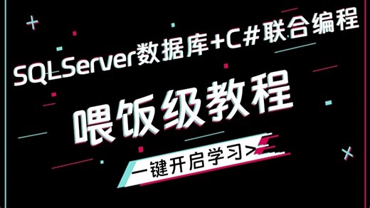 【吊打付费】SQLServer数据库 C#联合编程，超详细教程 小白必看(SQL/增删改查/C#/Ado.NET)B1525