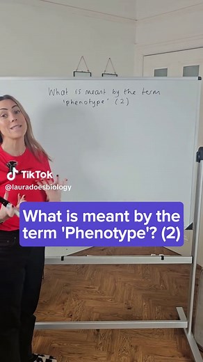 Understanding the Concept of Phenotype in Biology