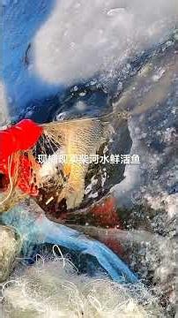 Winter Fishing Miracle Massive Fish Catch in Freezing Cold Waters