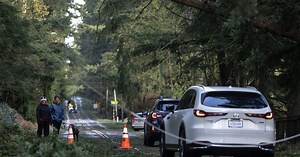 Seattle weather forecast: Here's what to expect