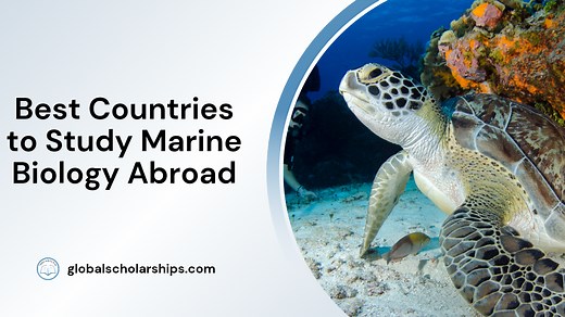 7 Best Countries to Study Marine Biology Abroad