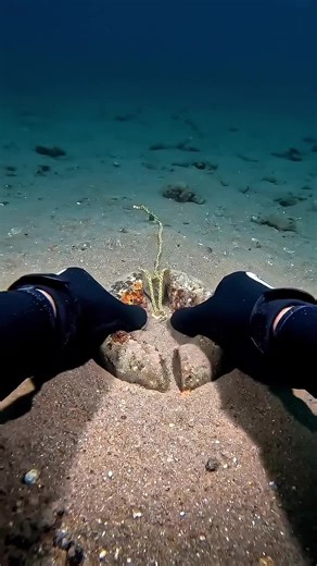 Explore the Most Satisfying Underwater ASMR Videos