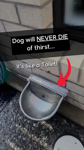 13M views · 74K reactions | ✅The Ultimate Home Building Checklist on...