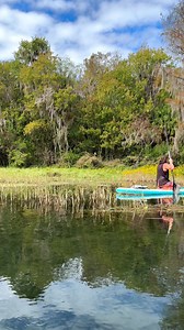 😜 Quirky Facts You Didnt Know About Western Florida: 🐬 Dolphin Capital: Western Florida, particularly the Clearwater area, is often referred to as the "Dolphin Capital of the World." 🐚 Shell Capital: Sanibel Island, located off the coast of Fort Myers, is renowned as the "Shell Capital of the World." 🌊 Manatees' Winter Haven: Crystal River, along the Gulf Coast, is a designated refuge for manatees during the winter months. Visitors can swim and interact with these gentle sea creatures in the