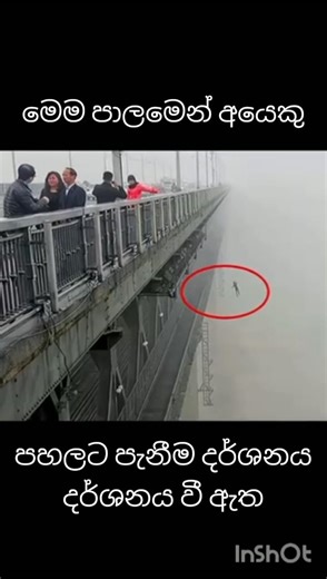 පින්තූර වල සැගවුනු අත්භූත රහස් 😱#viral