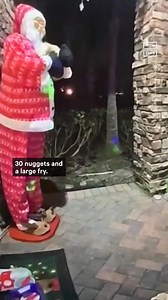 76K views · 458 reactions | Bears are fast food fans too. Home security footage captures the moment a hungry bear in Florida stole a Chick-fil-A order right off a family’s front porch. Of course, the bear took the chicken and fries — but left the salad.  | NowThis | Facebook