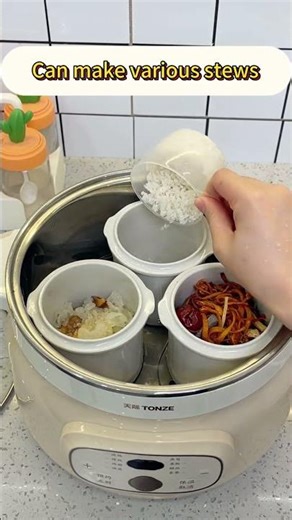 🥢 TONZE Dual-Layer Electric Steamer