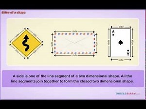 Number of Sides of Every Shape! *Math for Kids*