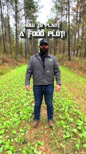 How to Plant a Food Plot: Step-by-Step Guide