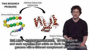 David Baker (U. Washington Hhmi) Part 1 蛋白质设计导论