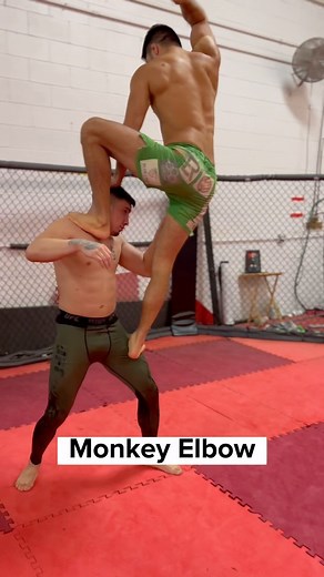 5.3K reactions · 310 comments | Monkey Elbow  Breakdown  Step on the thigh of your opponent to get impulse and with your other foot step on his shoulder , use the momentum down to land the 12°-6° Elbow. . . . . . . . . #mma #muaythai #muaythaifighter #foryou #foryoupage #fyp #viral #ufcfighter #strikking #striker #muaythaitraining #muayboran #mmafighter | Horacio Gutierrez | Facebook