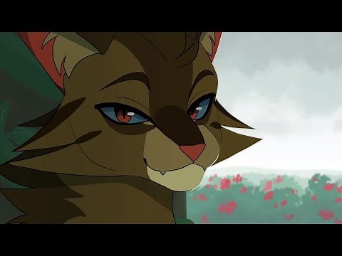 Dark Matter (Hawkfrost MAP) || Part 8