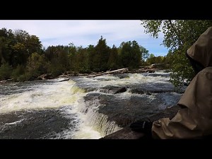Wildlife and Waterfalls | Hiking the Best Spots When Camping at McGregor Provincial Park - Part 3