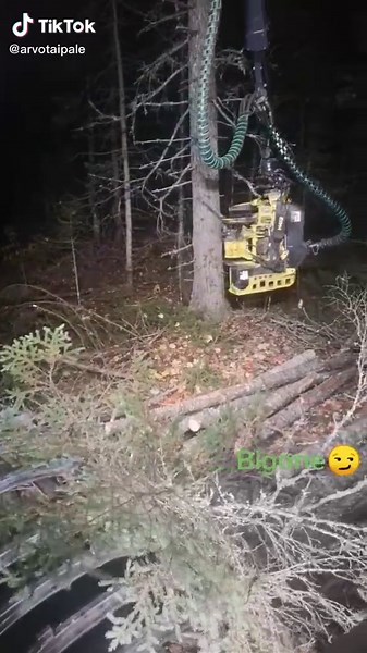 Sometimes the forest can surprise. #work #metsäkoneenkuljettaja #metsäkone #metsä #forest #forestmachine #Johndeere #johndeereforestry #harvester